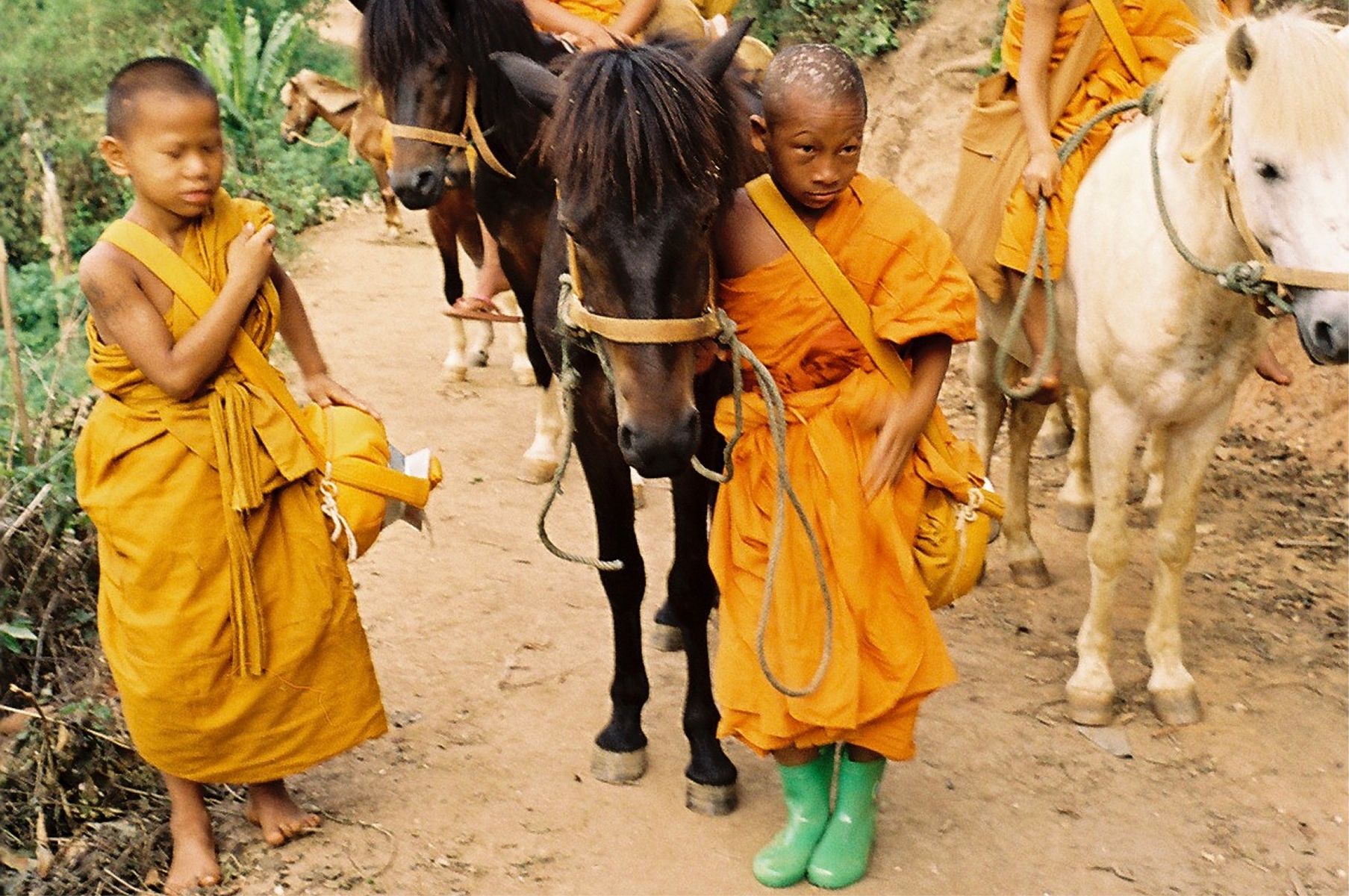 Buddha's Lost Children